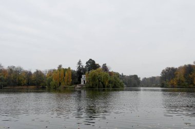 Ağaçlı ve yeşil yapraklı sonbahar manzarası