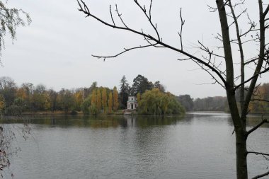 Ağaçları ve gölü olan güzel bir manzara.