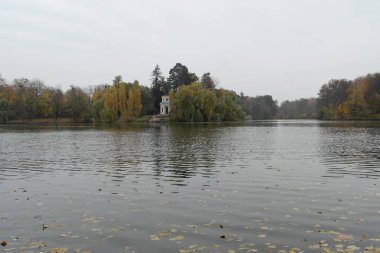 Güz ormanı manzarası güzel ağaçlar ve nehirlerle