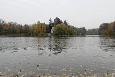 Güz ormanı manzarası güzel ağaçlar ve nehirlerle