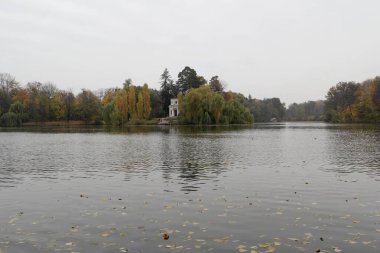 Güz ormanı manzarası güzel ağaçlar ve nehirlerle