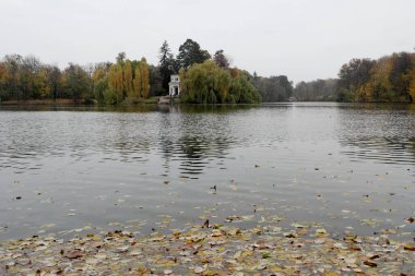 Ağaçlar ve yapraklarla dolu sonbahar manzarası