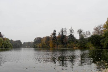 sonbahar ağaçlarıyla resmedilmiş manzara