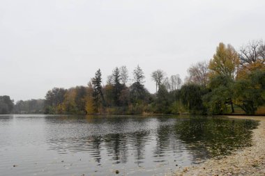 Güz ormanı manzarası güzel ağaçlar ve nehirlerle