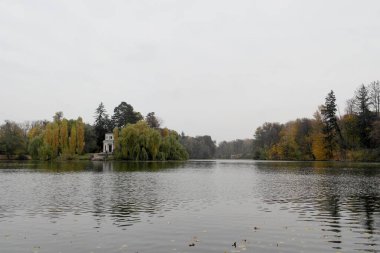 Ağaçlı ve yeşil yapraklı sonbahar manzarası