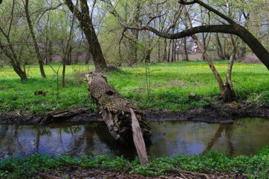 Doğanın güzel manzarası