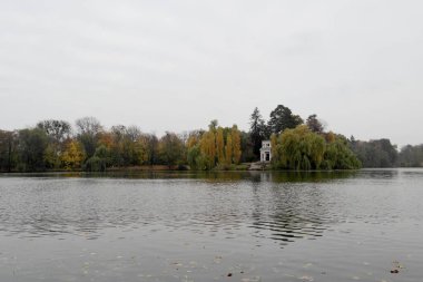 Ağaçlar ve bitkilerle dolu sonbahar manzarası