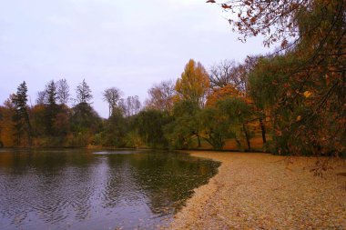 Ağaçlar ve yapraklarla dolu sonbahar manzarası