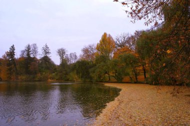 Ağaçlar ve yapraklarla dolu sonbahar manzarası