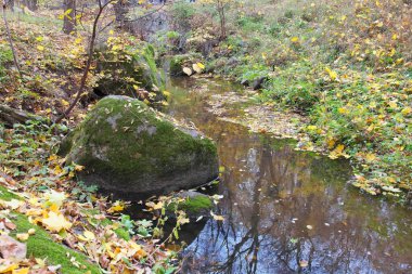 Sonbahar ormanlarında nehirli güzel bir manzara. 