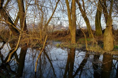 Güzel bahar manzara nehir ile 