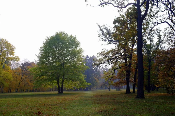 Schilderachtig Landschap Met Herfstbomen — Stockfoto