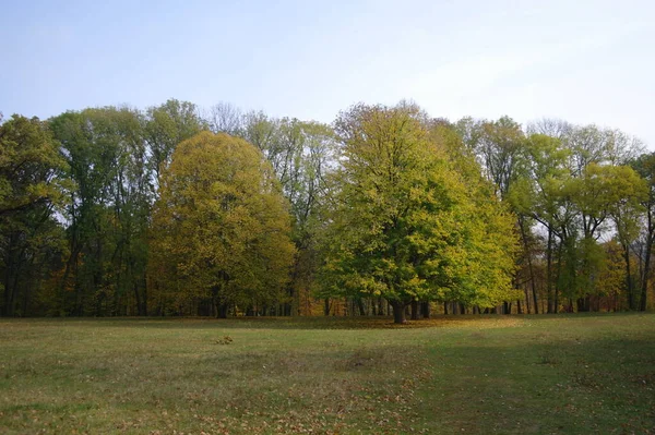 Malerische Landschaft Mit Herbstbäumen — Stockfoto