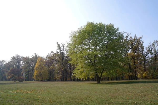 Paisaje Pintoresco Con Árboles Otoño —  Fotos de Stock