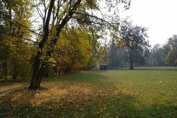 Malerische Landschaft Mit Herbstbäumen — Stockfoto