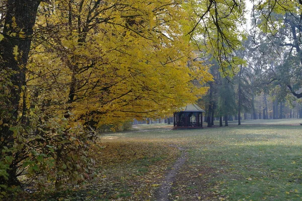 Paisaje Pintoresco Con Árboles Otoño —  Fotos de Stock