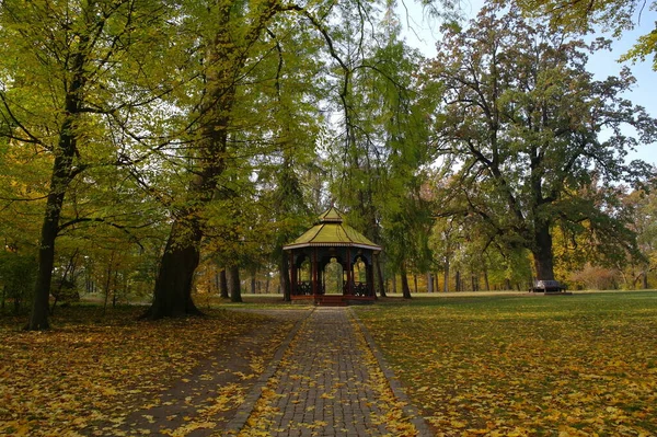 Herbstpark Der Stadt — Stockfoto