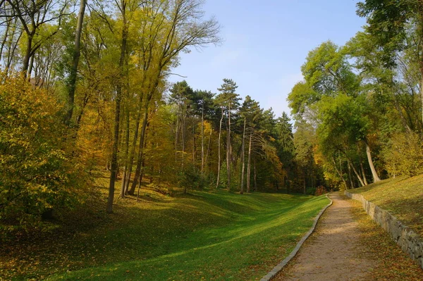 Picturesque Landscape Autumn Trees — Stock Photo, Image