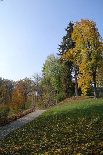 秋天公园的小路 有美丽的树木 — 图库照片