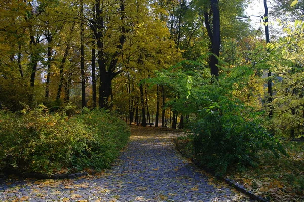 Paesaggio Pittoresco Con Alberi Autunnali — Foto Stock