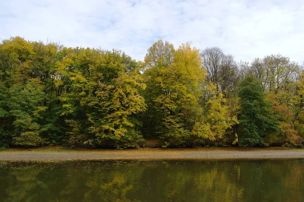 Paesaggio Forestale Autunnale Con Bellissimi Alberi Fiume — Foto Stock