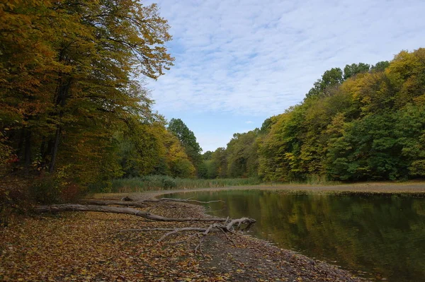 Herfst Boslandschap Met Prachtige Bomen Rivier — Stockfoto