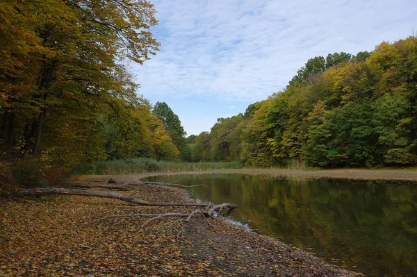 Herfst Boslandschap Met Prachtige Bomen Rivier — Stockfoto