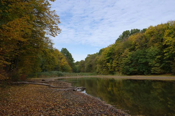 Herfst Boslandschap Met Prachtige Bomen Rivier — Stockfoto