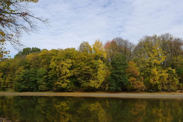 Beautiful Autumn Landscape Bright Trees — Stockfoto