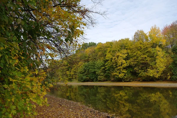 Herfst Boslandschap Met Prachtige Bomen Rivier — Stockfoto