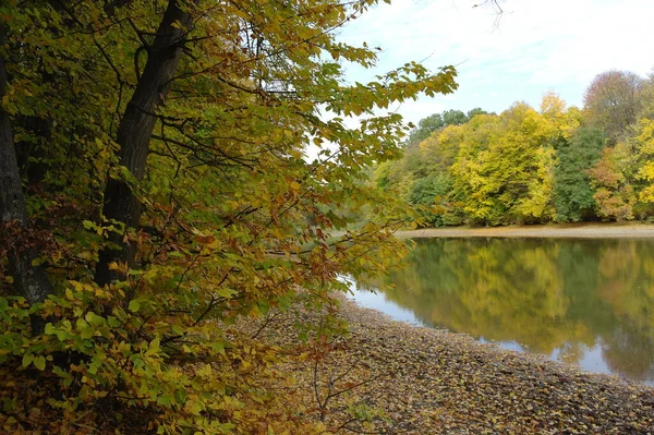 Herfst Boslandschap Met Prachtige Bomen Rivier — Stockfoto