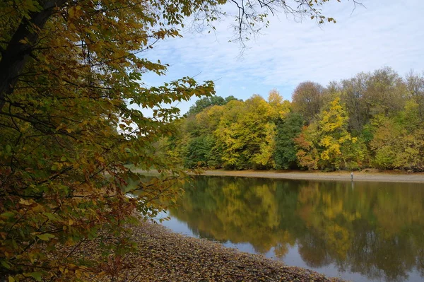 Herfst Boslandschap Met Prachtige Bomen Rivier — Stockfoto