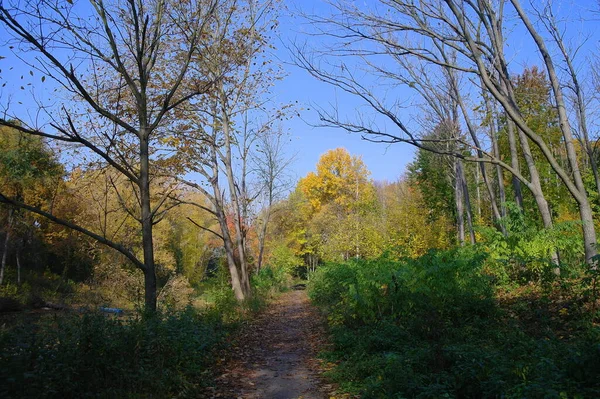 Paesaggio Pittoresco Con Alberi Autunnali — Foto Stock