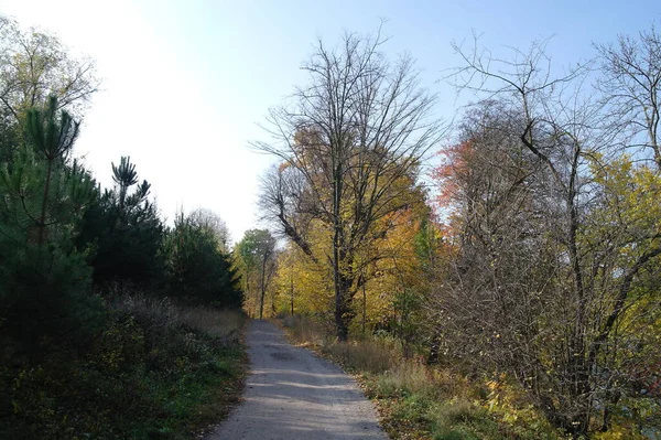 Paisaje Pintoresco Con Árboles Otoño —  Fotos de Stock