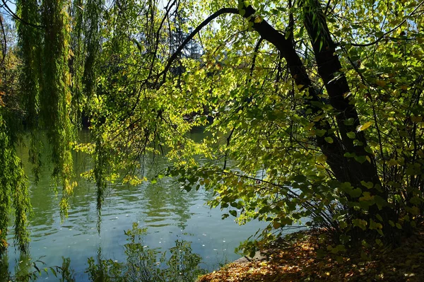 Arka Planda Nehir Göl Olan Güzel Bir Manzara — Stok fotoğraf