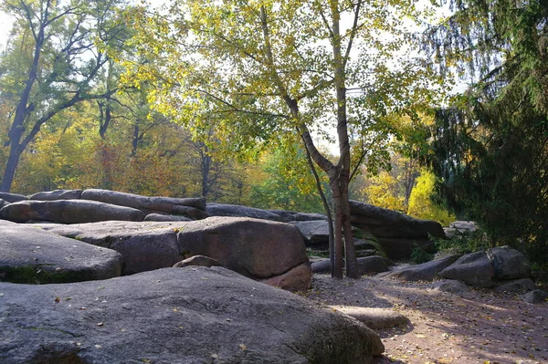 Hermosa Vista Naturaleza — Foto de Stock