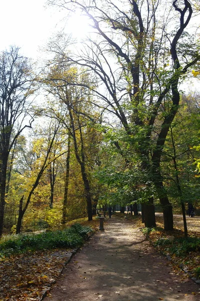 Hermoso Parque Otoño Ciudad — Foto de Stock