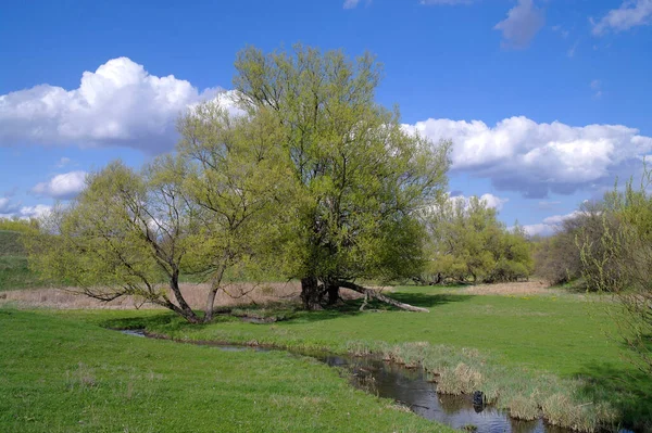 Beau Paysage Avec Une Rivière Lac — Photo