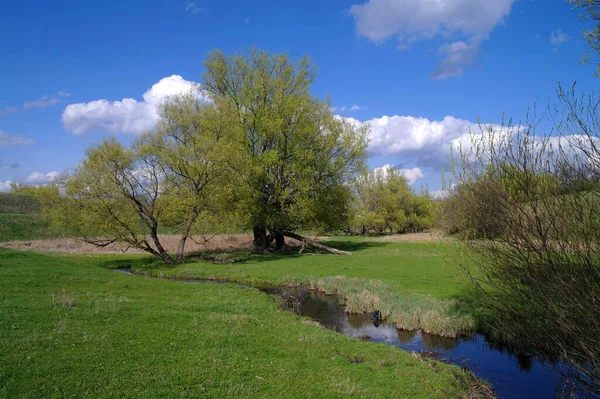 Krásná Krajina Řekou Jezerem — Stock fotografie