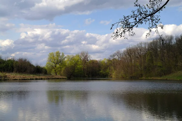 Güzel bahar manzara nehir ile 
