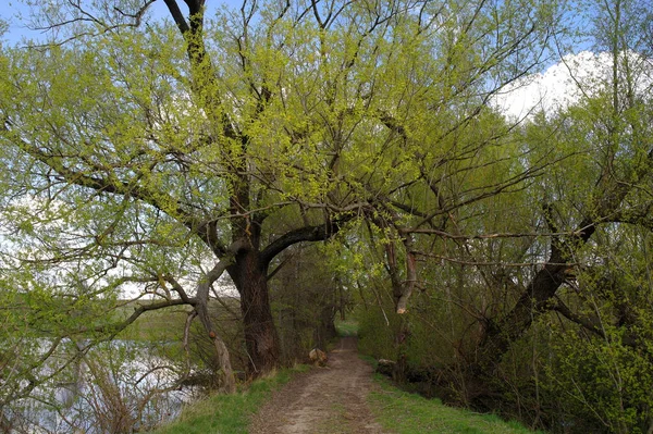 Parkın güzel manzarası