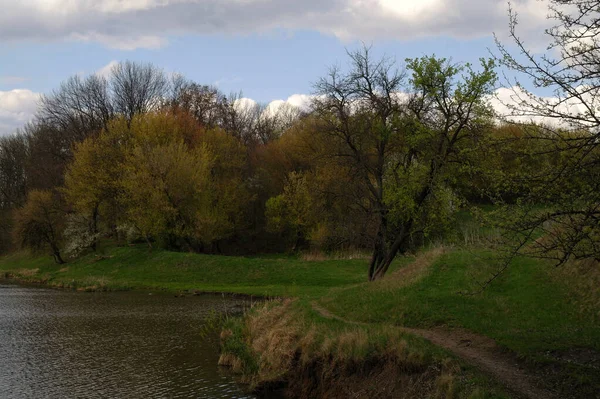 Piękny Widok Rzekę Parku — Zdjęcie stockowe