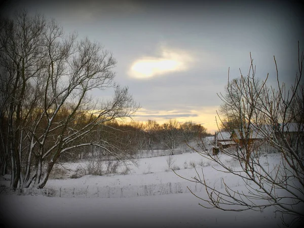 Paysage Hivernal Avec Neige Arbres — Photo