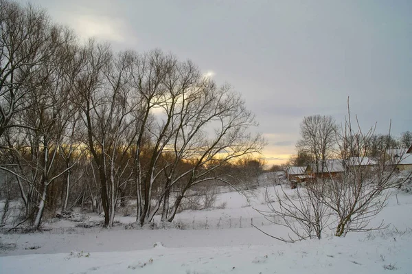 Zimní Krajina Sněhem Stromy — Stock fotografie