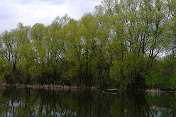 Schöne Frühlingslandschaft Mit Fluss — Stockfoto