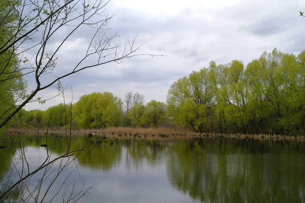 Hermoso Paisaje Con Río Lago Fondo — Foto de Stock