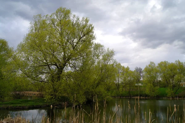 Krásná Krajina Řekou Jezero Pozadí — Stock fotografie