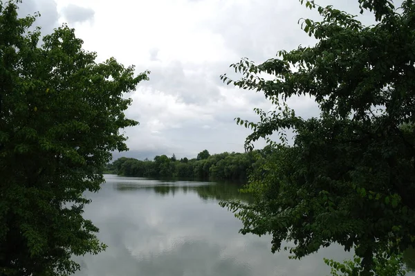 Hermosa Vista Del Río Bosque —  Fotos de Stock