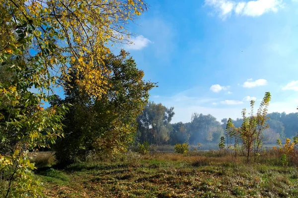 Sonbahar Ağaçlarıyla Resmedilmiş Manzara — Stok fotoğraf