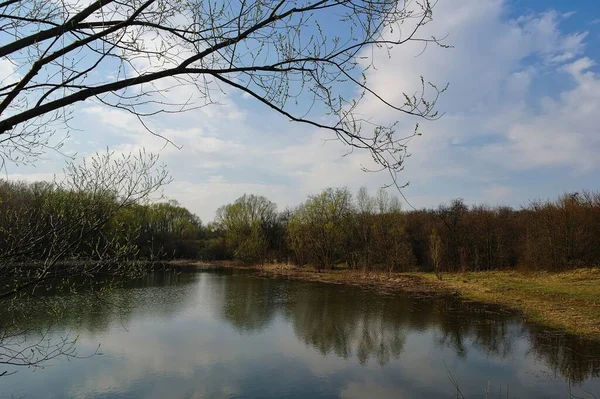川と美しい春の風景 — ストック写真
